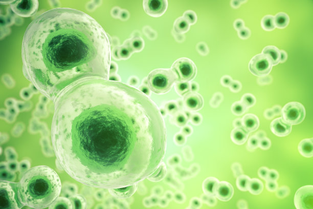 cell