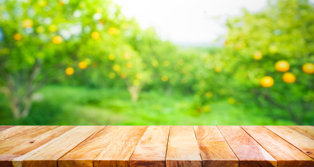 orchard