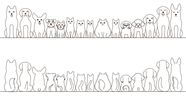 宠物猫宠物狗宠物店