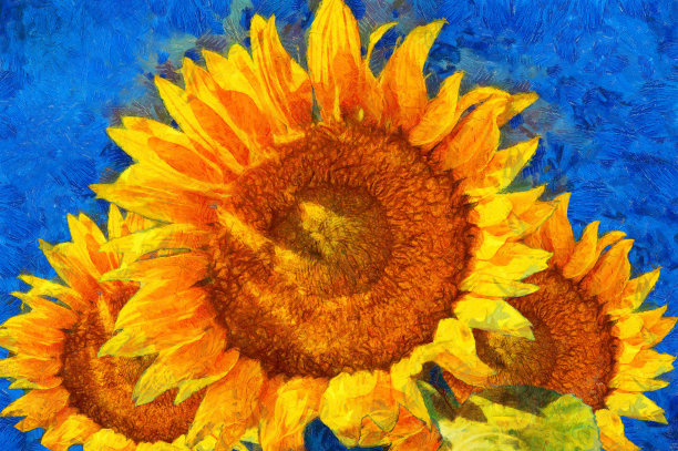 vincent