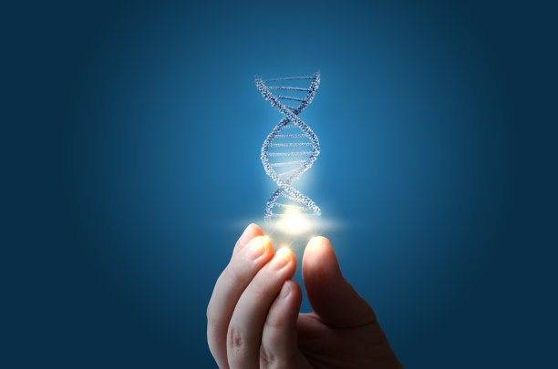 bio