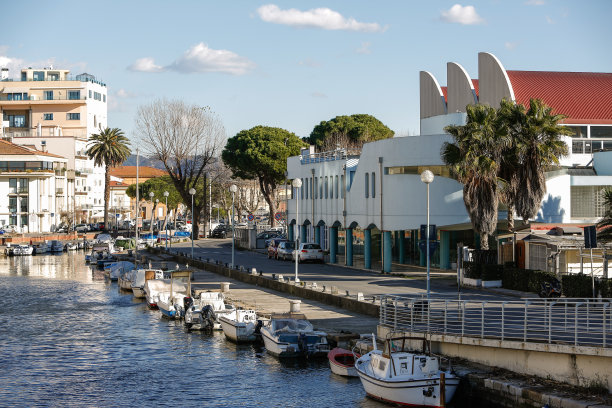 viareggio