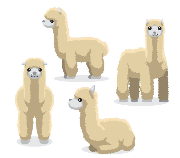 alpaca