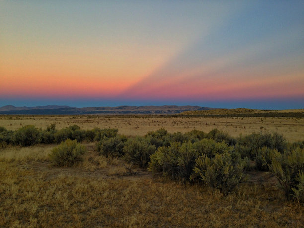 elko