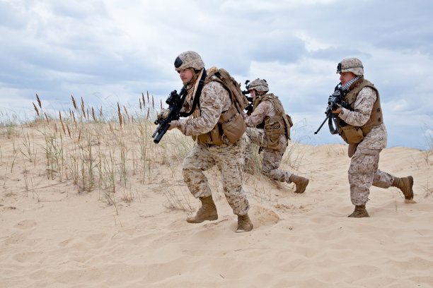 gi