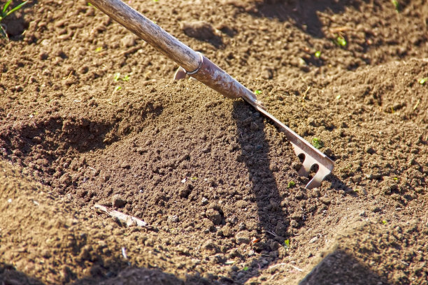 rake