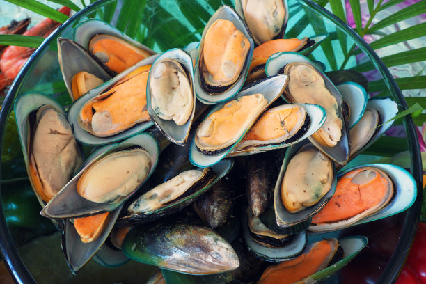 mussels
