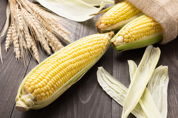 maize