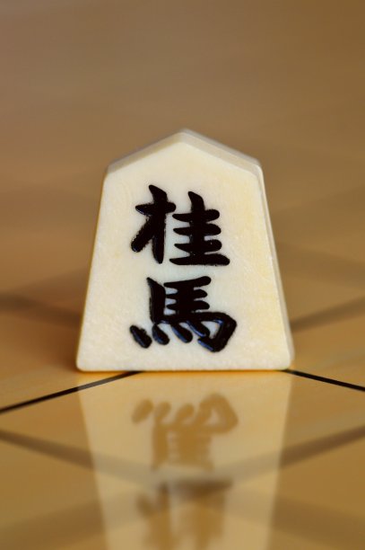 将棋,无人,棋子