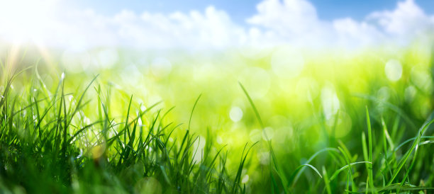 springtime
