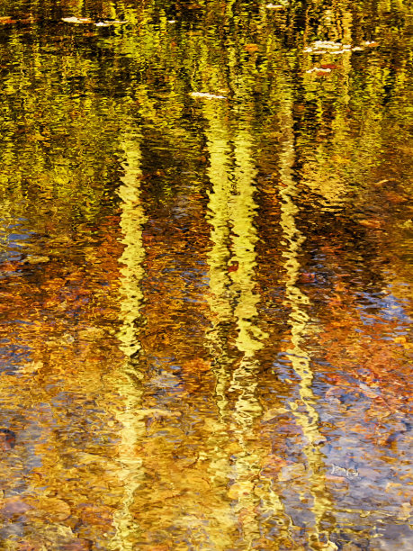 monet