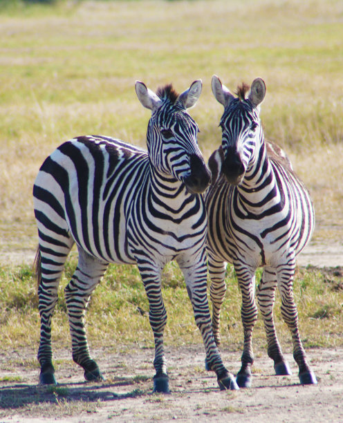 nanyuki