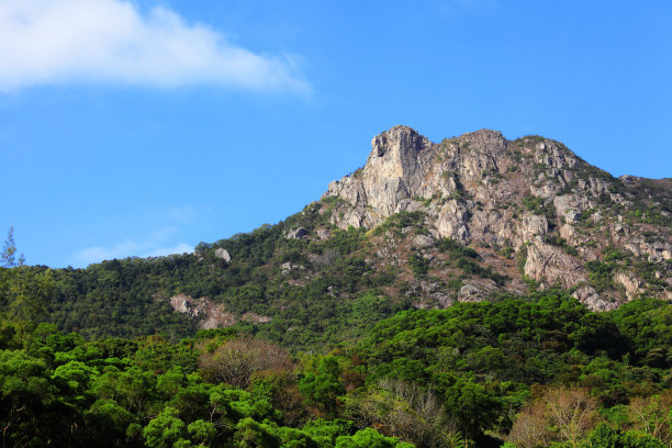 mt