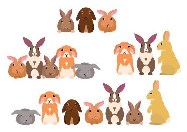 许多兔子