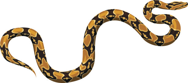 snake