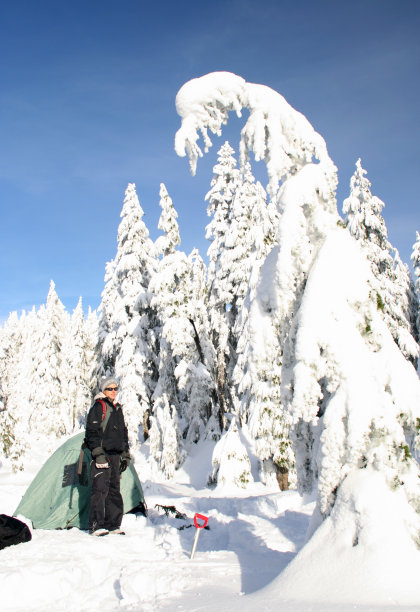 防风女士雪地