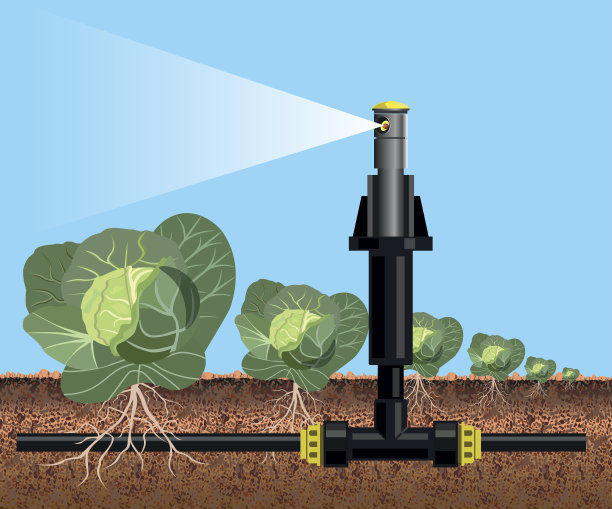 irrigation