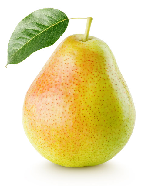 pyrus