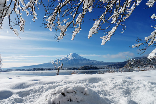 fuji