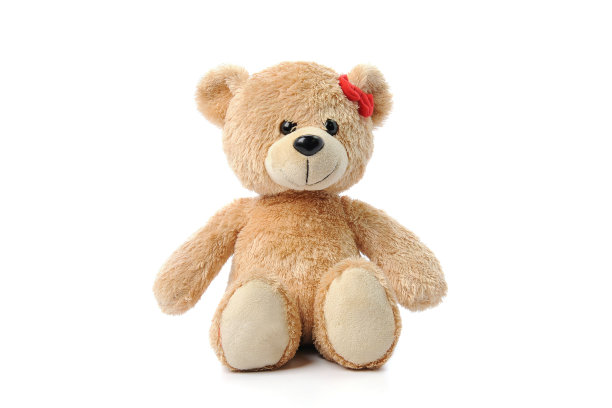 teddy