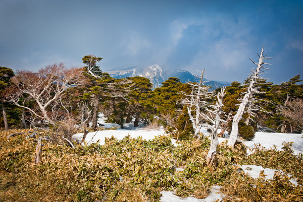 吉林地标