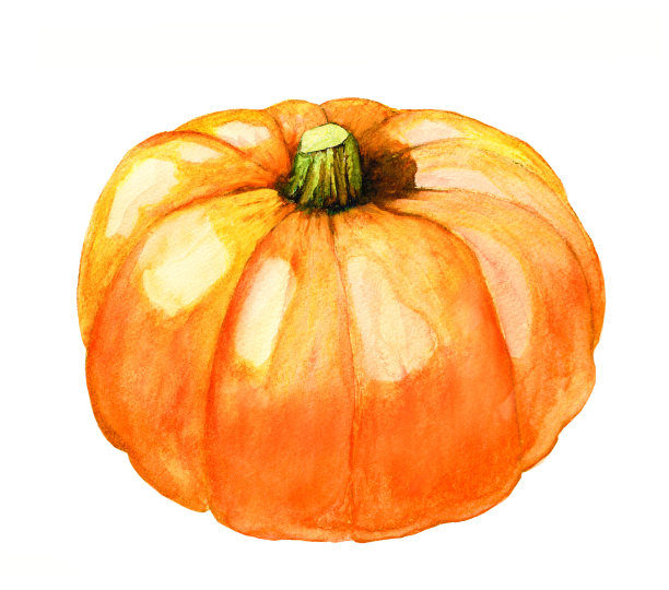 pumpkin
