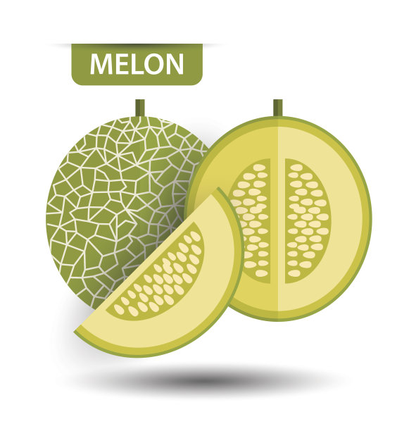 cantaloupe