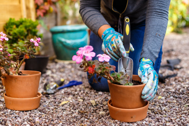 horticulture