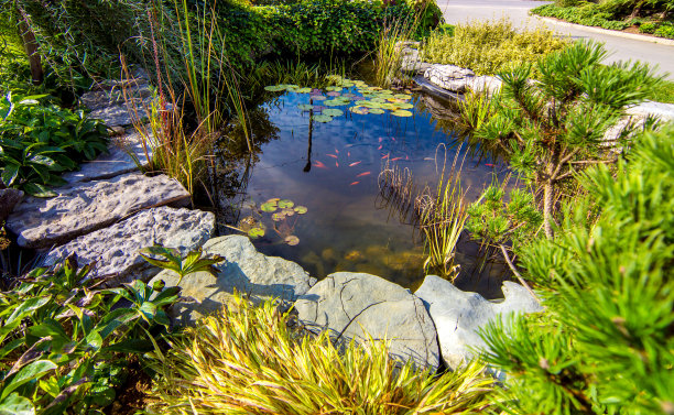 ponds