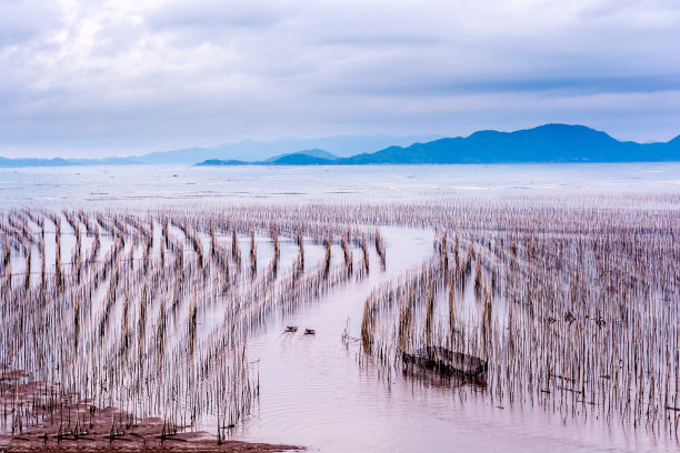 fujian