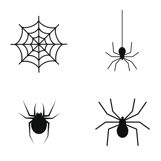 spider