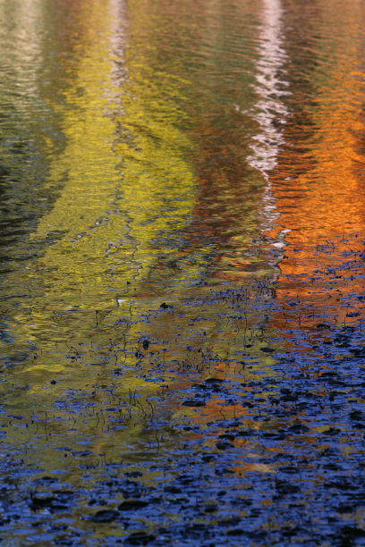 monet