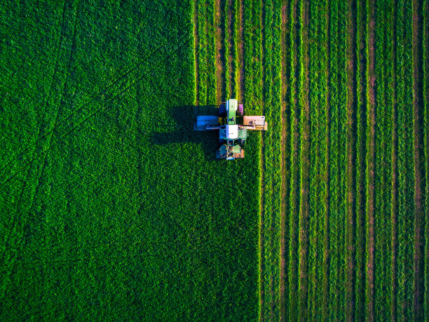 harvest