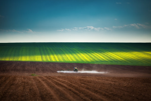 ground