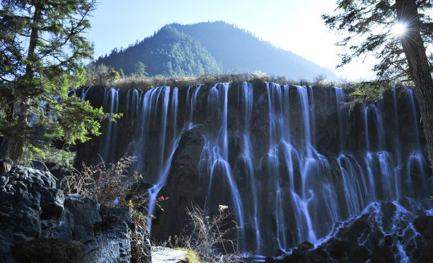 黄龙山林