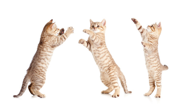 leaping