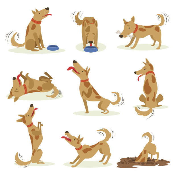 狗狗插画
