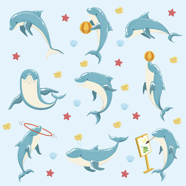海豚节目
