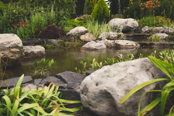 ponds