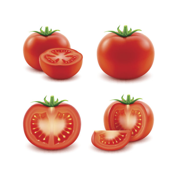 番茄插画