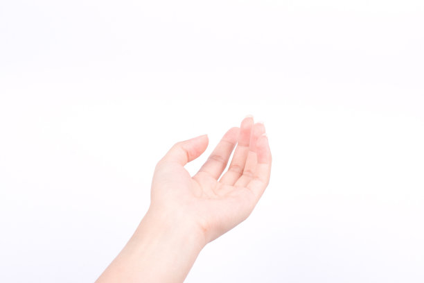 palm