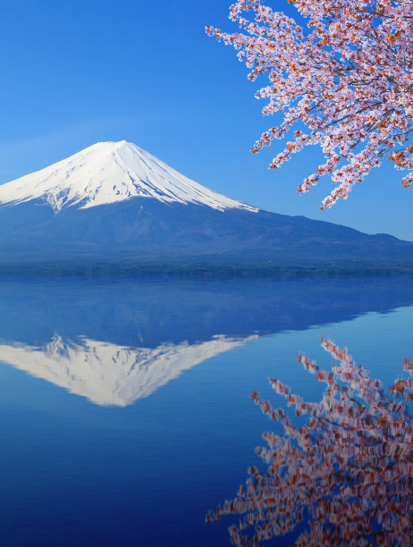 fuji