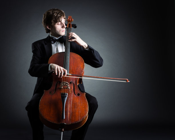 violin