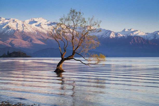 wanaka