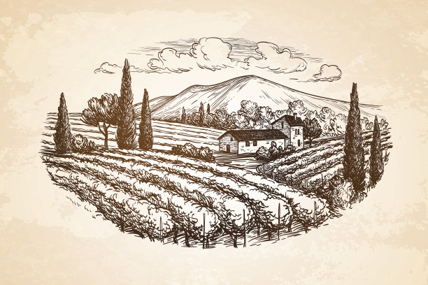 vineyard