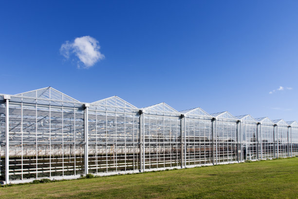 greenhouse