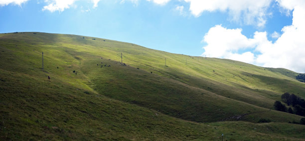 guarda