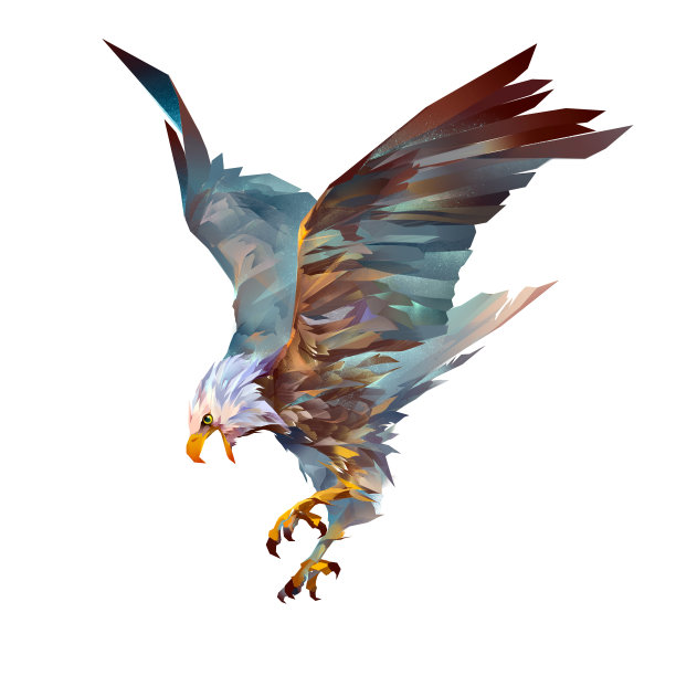 buteo