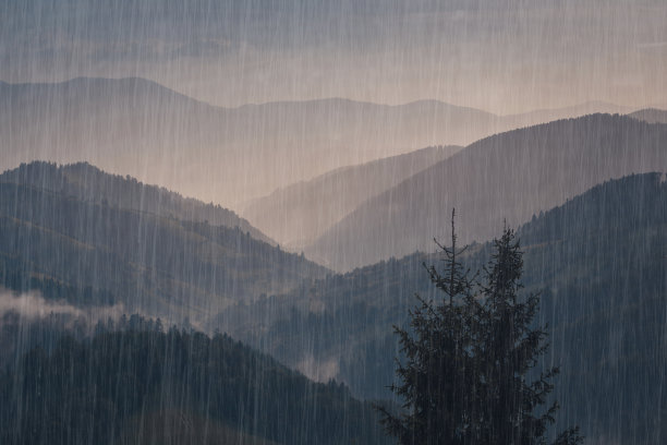 雨后小景