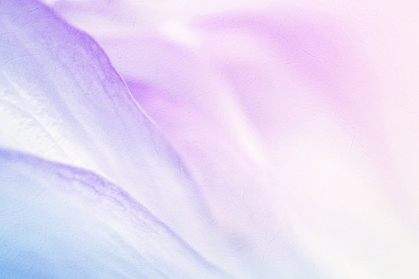 紫腾花